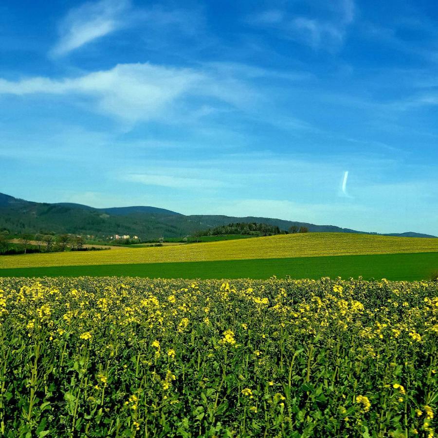 Agroturystyka Sielska Kraina Zabkowice Slaskie Exterior photo